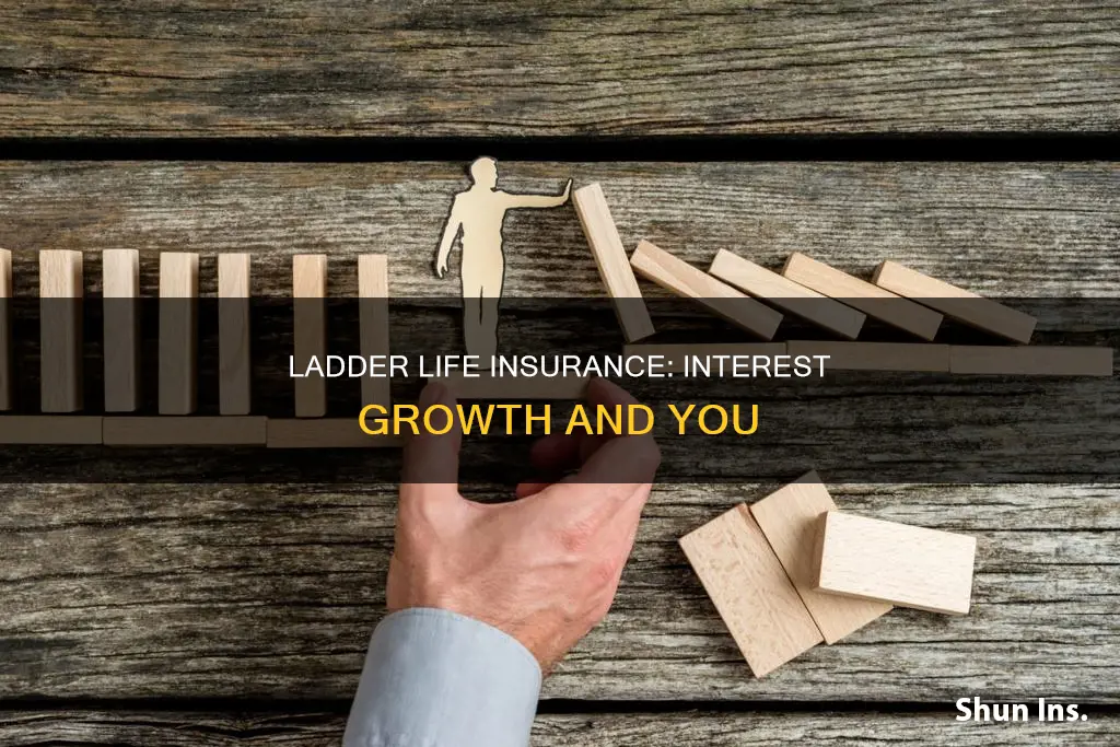 do ladder life insurance grow interest