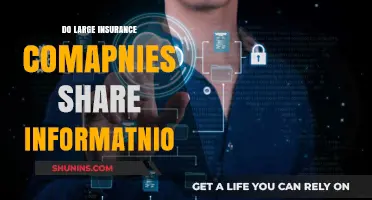 Do Large Insurance Companies Share Your Information? What You Need to Know