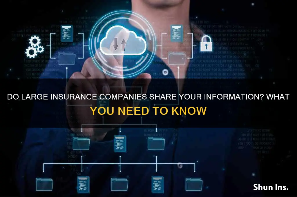 do large insurance comapnies share informatnio
