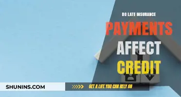 Late Insurance Payments: Impact on Credit Scores