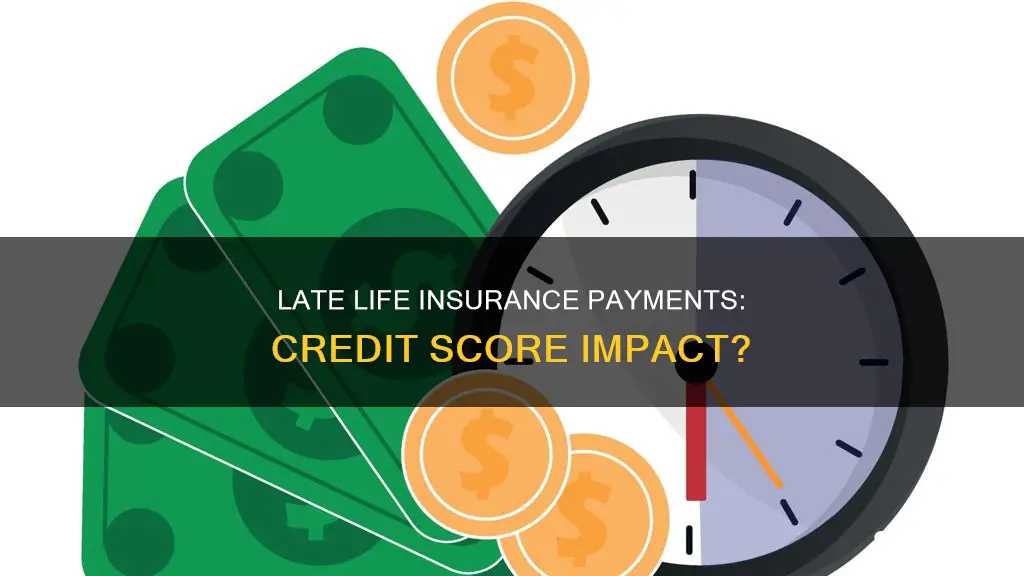 do late life insurance payments count against your credit