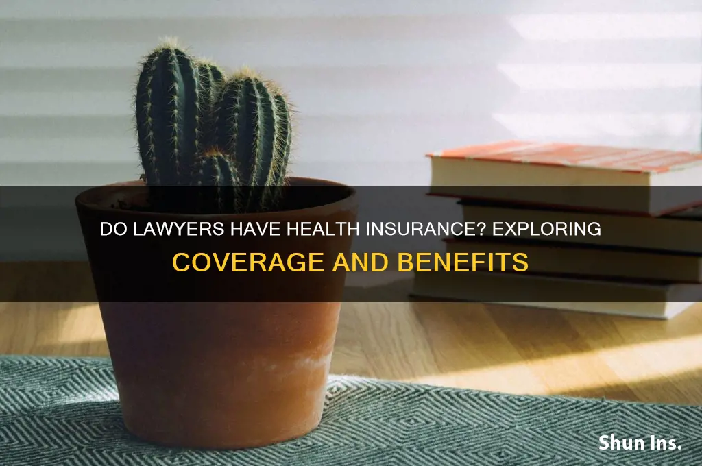 do lawyers have health insurance