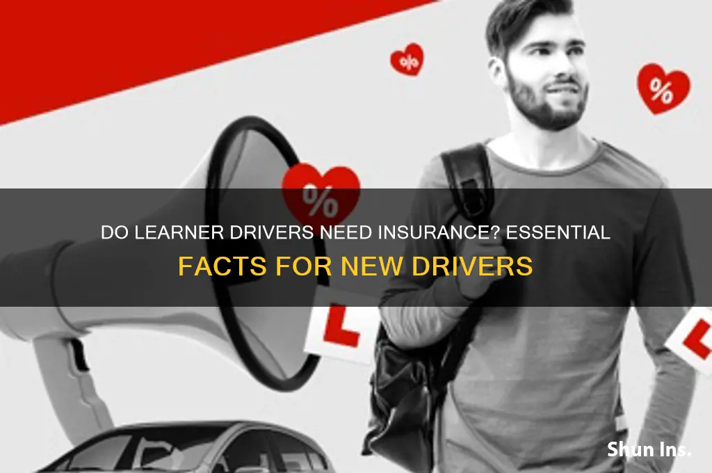 do learner drivers have to be insured