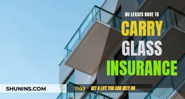 Glass Insurance: Lease Necessity?