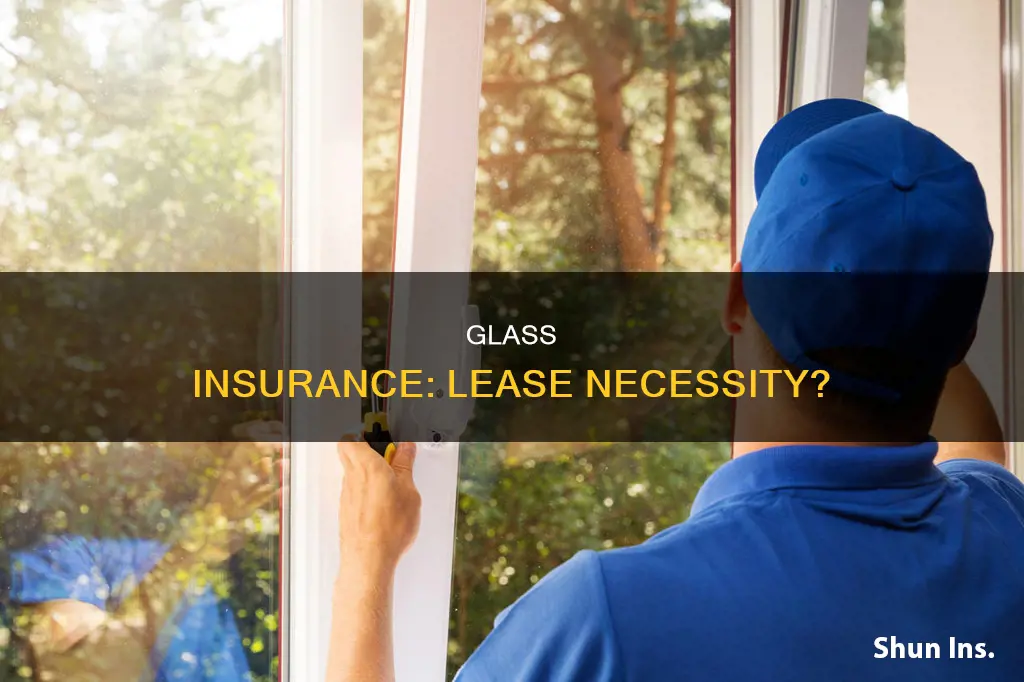 do leases have to carry glass insurance