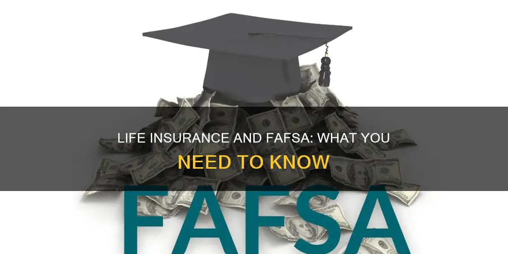 do life insurance accounts count on fafsa