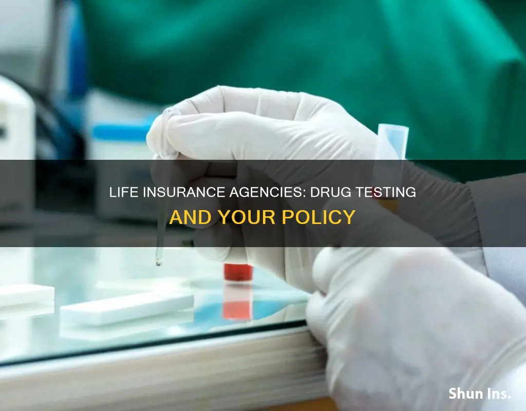 do life insurance agencies drug test