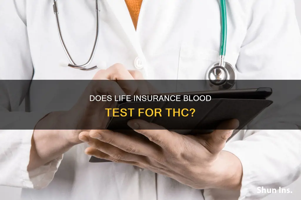 do life insurance blood test for thc