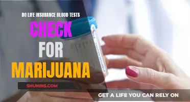 Does Your Life Insurance Blood Test Check for Marijuana?