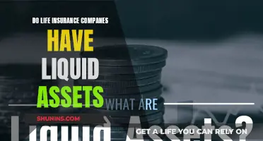 Life Insurance Companies: Liquid Assets or Not?