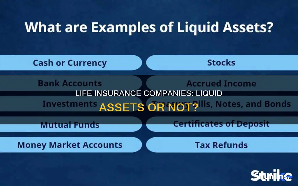 do life insurance companes have liquid assets