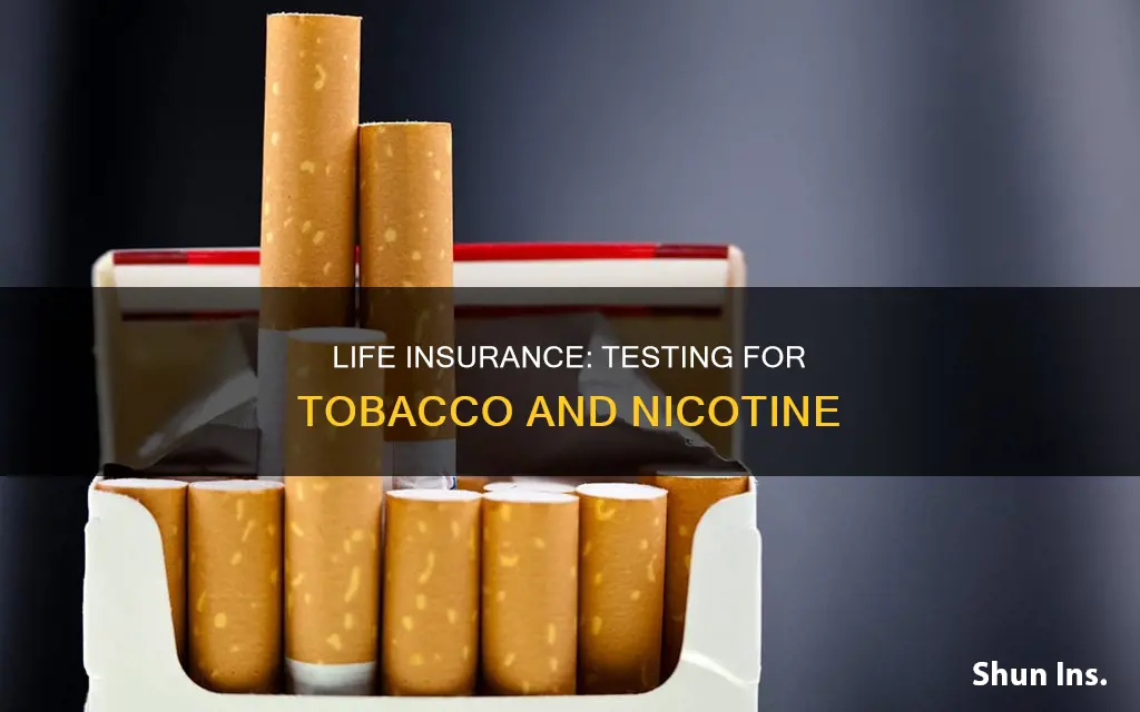 do life insurance cos test for tobaco or nicotene