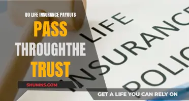 Life Insurance and Trusts: Payouts Explained