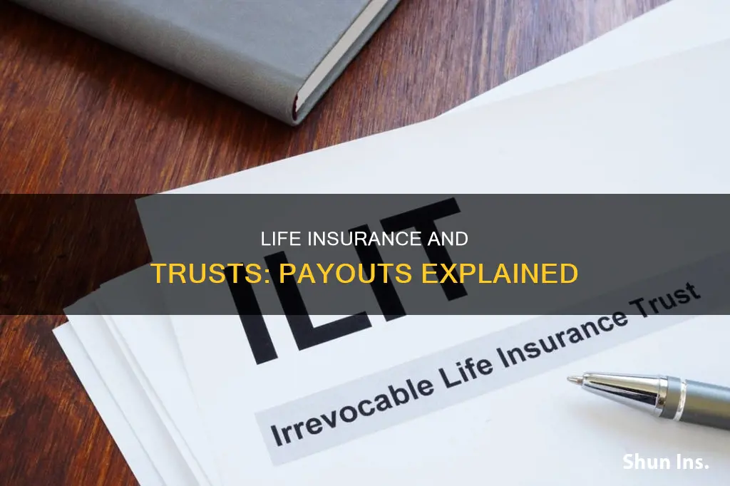 do life insurance payouts pass throughthe trust