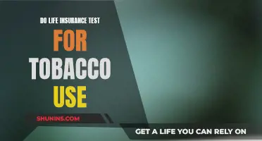 Life Insurance and Tobacco: Testing for Usage