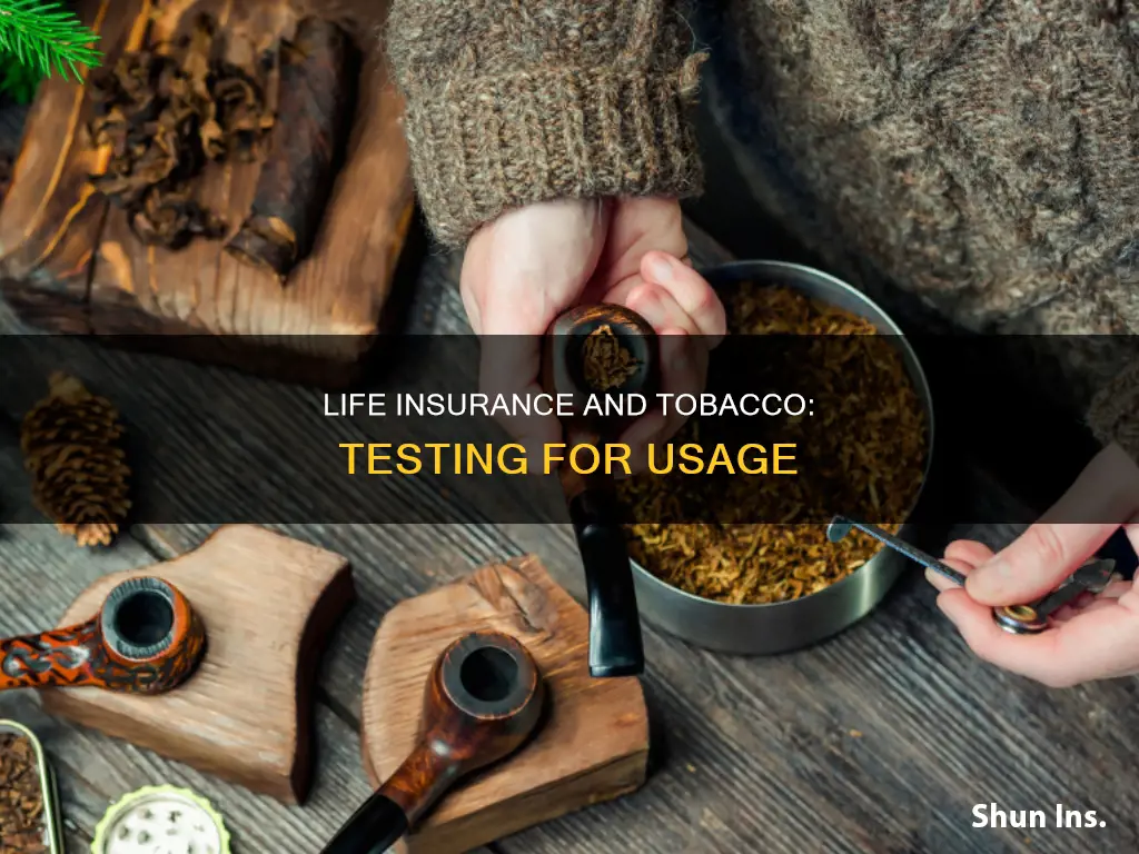 do life insurance test for tobacco use