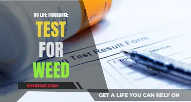 Weed and Life Insurance: Testing for THC