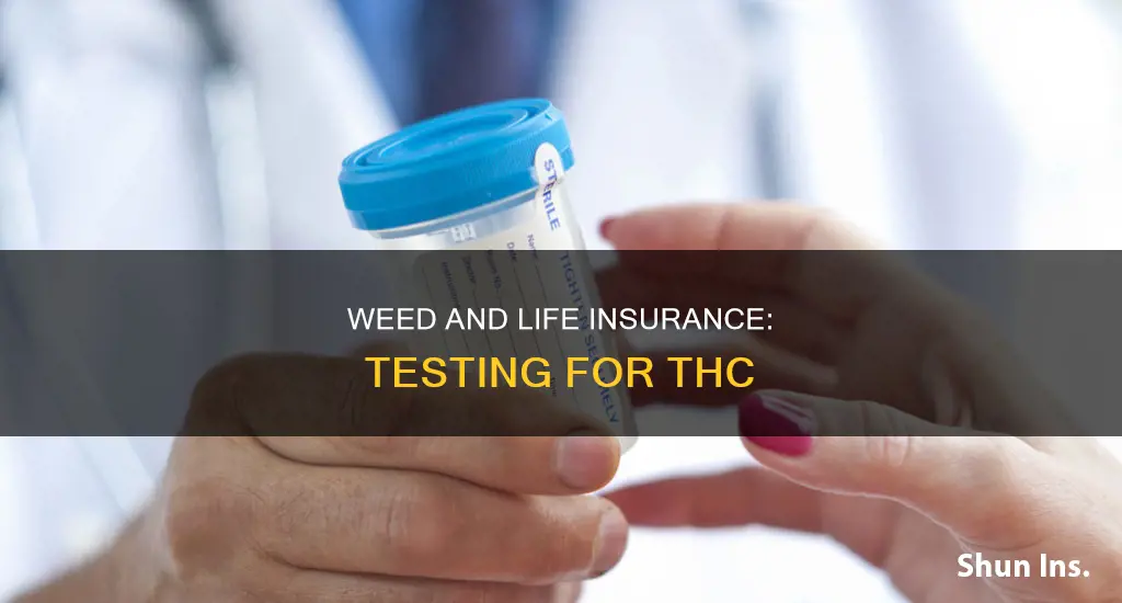 do life insurance test for weed