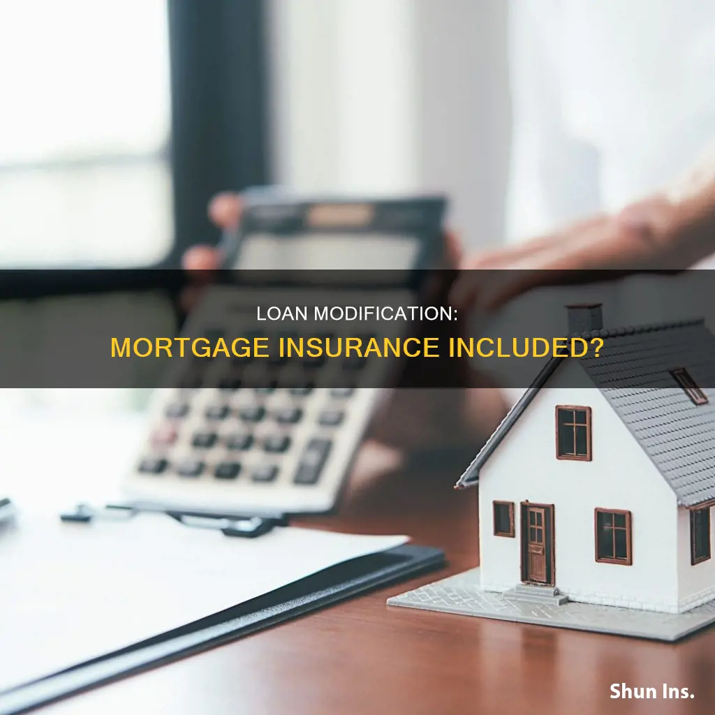 do loan modication have have mortgage insurance