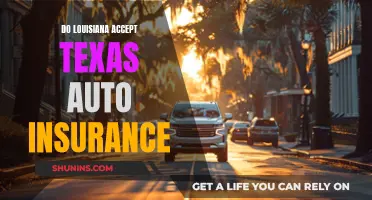 Texas Auto Insurance in Louisiana: What You Need to Know