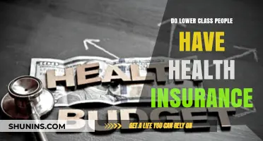 Health Insurance Accessibility: Challenges for Lower-Income Individuals Explored