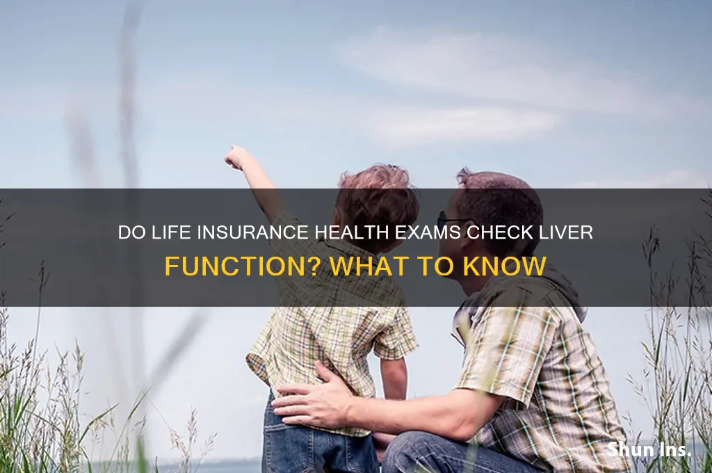 do lufe insurance health exams check liver