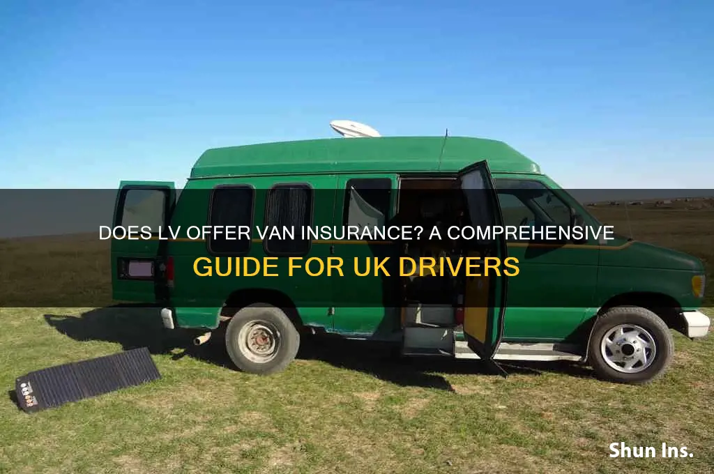 do lv do van insurance