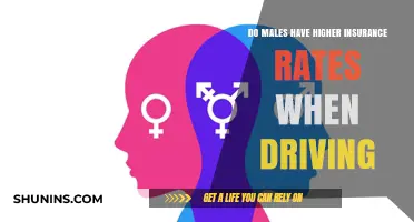 Male Drivers: Why Higher Insurance Rates?