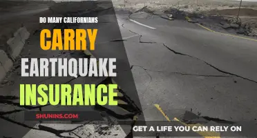 Earthquake Insurance: California's Choice