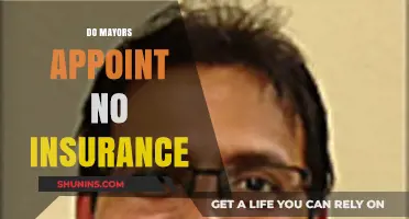 Do Mayors Appoint No Insurance: Understanding Local Government Roles