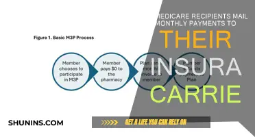 Medicare Payments: Who, What, And When? | ShunIns