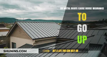 Metal Roofs: Insurance Costs and Home Benefits