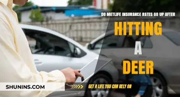 MetLife Insurance Rates: Deer Collisions and Premium Hikes