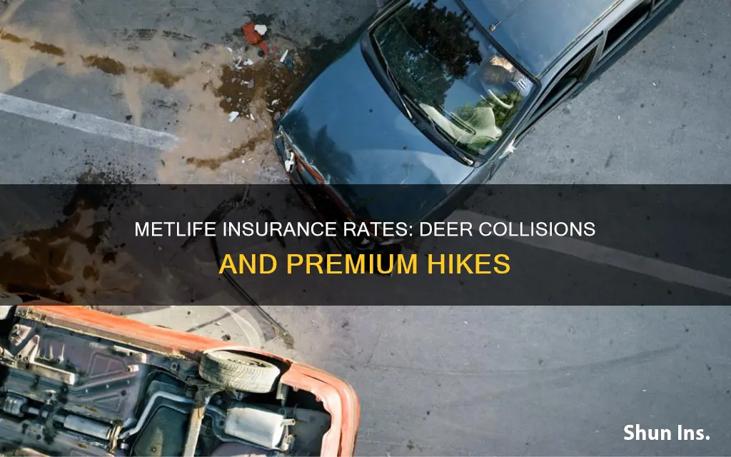 do metlife insurance rates go up after hitting a deer