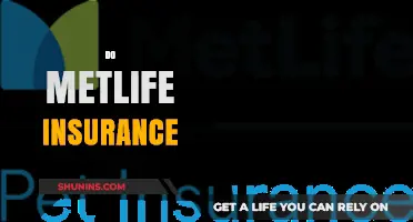 Understanding MetLife Insurance: Coverage, Benefits, and How to Apply