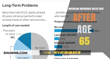 Michigan Insurance Rates: Age 65 and Beyond