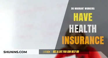 Migrant Workers' Health Insurance: Coverage Gaps and Policy Solutions