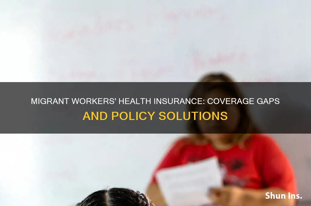 do migrant workers have health insurance