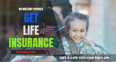 Military Spouses: Life Insurance Options and Entitlements