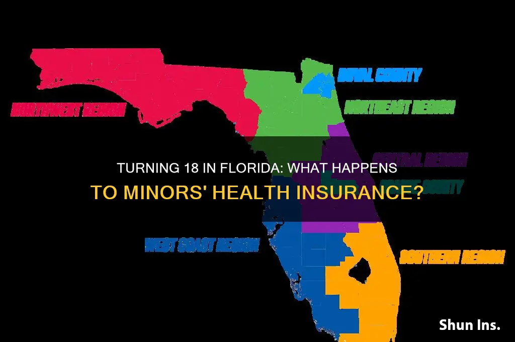 do minors lose florida health insurance after turning 18