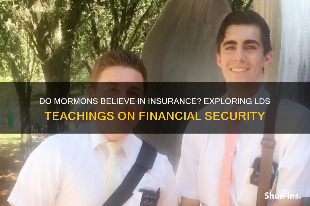 do mormons believe in insurance