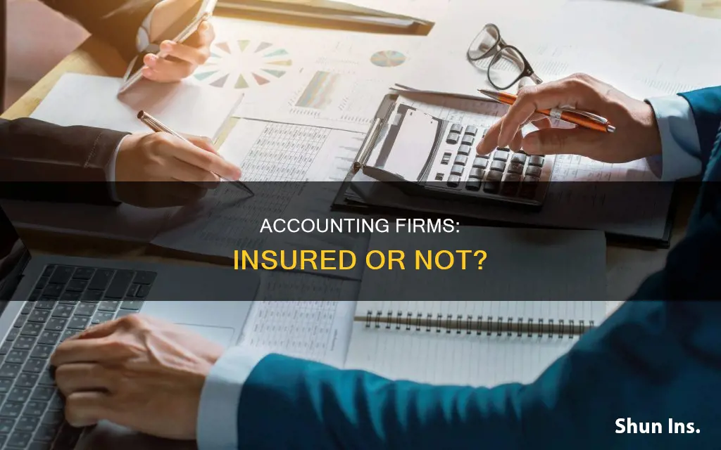 do most accounting firms carry insurance