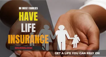 Life Insurance: A Common Family Practice Explored