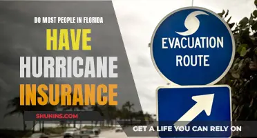 Florida's Hurricane Insurance: Who's Covered?