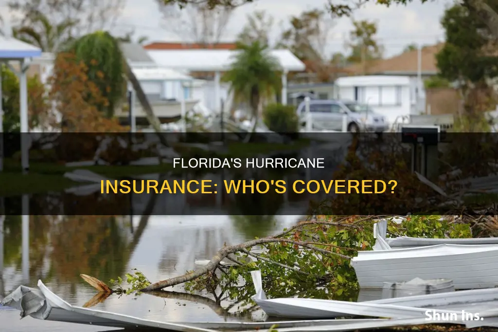 do most people in Florida have hurricane insurance