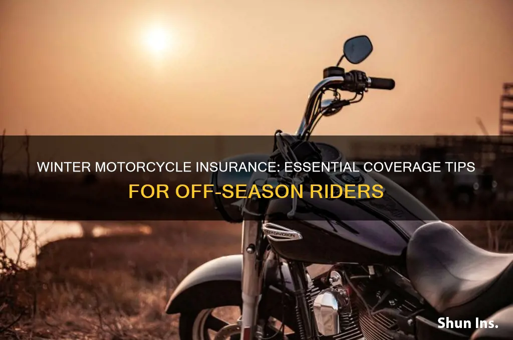 do motorcycle insurance during winter