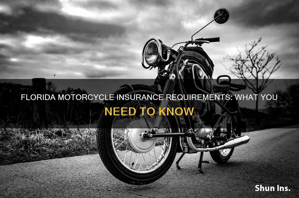 do motorcycles have to have insurance in florids