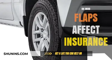 Mud Flaps: Insurance Impact and Benefits