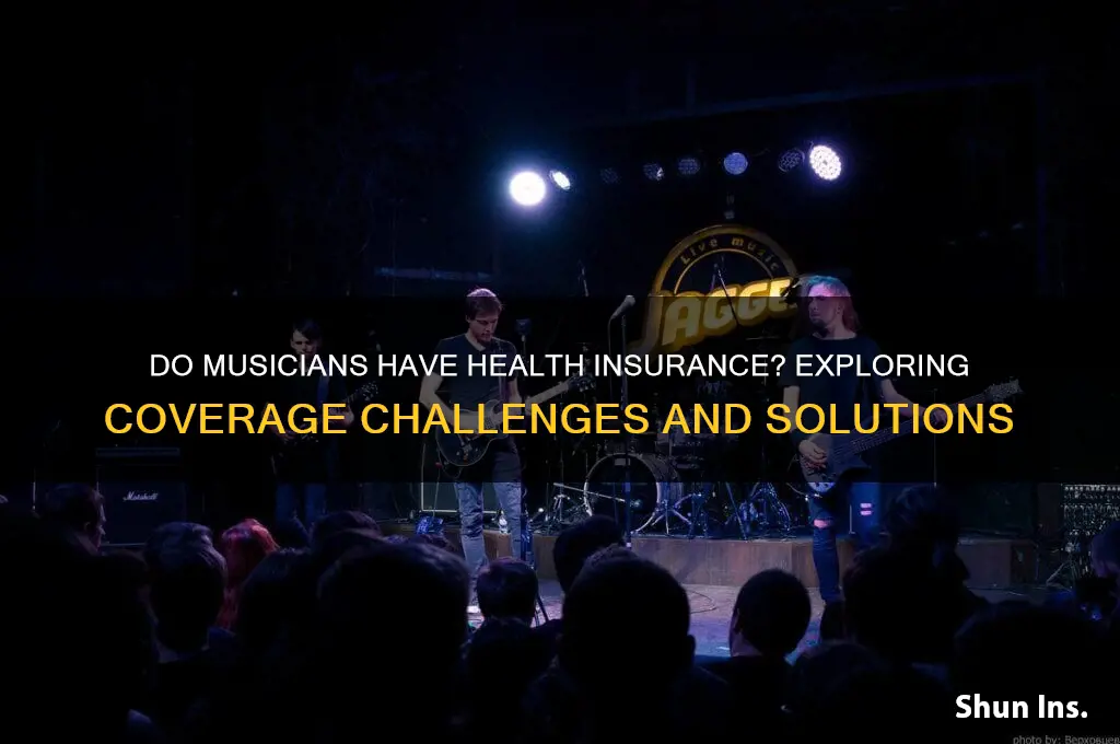 do musicians have health insurance