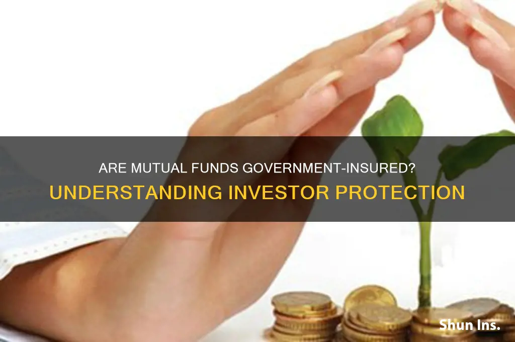 do mutual funds have government insurance